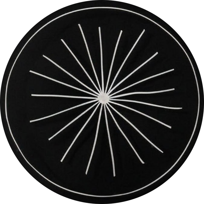 ANUS Logo